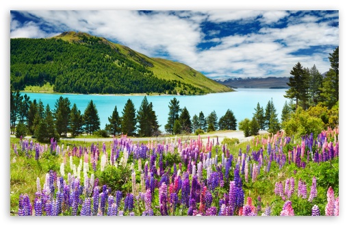 Lavender, Mountains HD wallpaper for Wide 16:10 Widescreen WHXGA WQXGA WUXGA WXGA ;