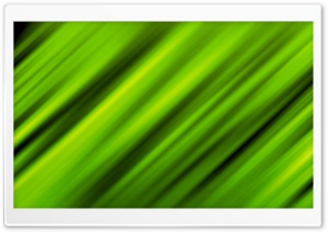 Leafy Green HD Wide Wallpaper for Widescreen