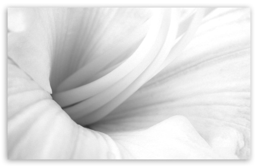 hd wallpapers white. Black And White wallpaper