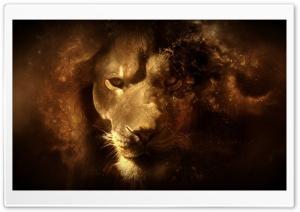 Lion HD Wide Wallpaper for Widescreen