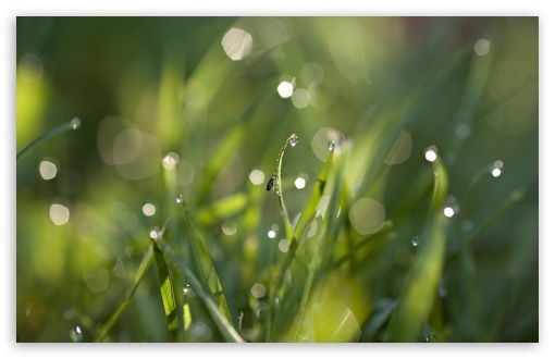 Little Life, Big Sparkles wallpaper for Wide 16:10 Widescreen WHXGA WQXGA WUXGA WXGA ;