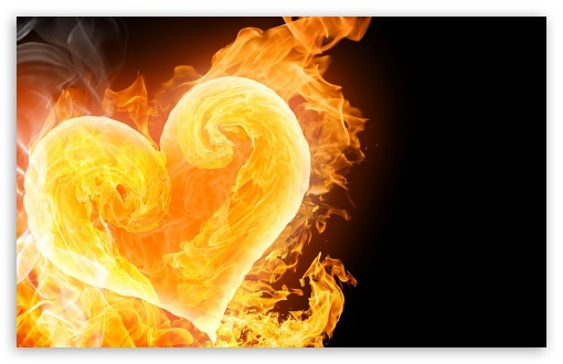 Love Fuel's The Heart HD wallpaper for Standard 4:3 5:4 Fullscreen UXGA XGA SVGA QSXGA SXGA ; Wide 16:10 5:3 Widescreen WHXGA WQXGA WUXGA WXGA WGA ; HD 16:9 High Definition WQHD QWXGA 1080p 900p 720p QHD nHD ; Other 3:2 DVGA HVGA HQVGA devices ( Apple PowerBook G4 iPhone 4 3G 3GS iPod Touch ) ; Mobile VGA WVGA iPhone iPad PSP Phone - VGA QVGA Smartphone ( PocketPC GPS iPod Zune BlackBerry HTC Samsung LG Nokia Eten Asus ) WVGA WQVGA Smartphone ( HTC Samsung Sony Ericsson LG Vertu MIO ) HVGA Smartphone ( Apple iPhone iPod BlackBerry HTC Samsung Nokia ) Sony PSP Zune HD Zen ; Tablet 2 ;