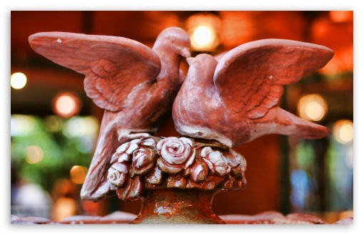 Lovebirds wallpaper for Wide 16:10 Widescreen WHXGA WQXGA WUXGA WXGA ;