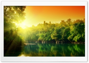 Lush Green Forest River At Sunrise HD Wide Wallpaper for Widescreen