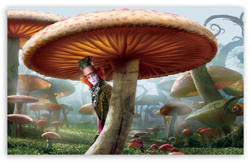 Mad Hatter, Alice In Wonderland HD wallpaper for Standard 4:3 5:4 Fullscreen UXGA XGA SVGA QSXGA SXGA ; Wide 16:10 5:3 Widescreen WHXGA WQXGA WUXGA WXGA WGA ; HD 16:9 High Definition WQHD QWXGA 1080p 900p 720p QHD nHD ; Other 3:2 DVGA HVGA HQVGA devices ( Apple PowerBook G4 iPhone 4 3G 3GS iPod Touch ) ; Mobile VGA WVGA iPhone iPad PSP Phone - VGA QVGA Smartphone ( PocketPC GPS iPod Zune BlackBerry HTC Samsung LG Nokia Eten Asus ) WVGA WQVGA Smartphone ( HTC Samsung Sony Ericsson LG Vertu MIO ) HVGA Smartphone ( Apple iPhone iPod BlackBerry HTC Samsung Nokia ) Sony PSP Zune HD Zen ; Tablet 2 Android 3 DVGA HVGA HQVGA devices ( Apple PowerBook G4 iPhone 4 3G 3GS iPod Touch ) ;