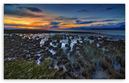 Marsh wallpaper for Wide 16:10 Widescreen WHXGA WQXGA WUXGA WXGA ;