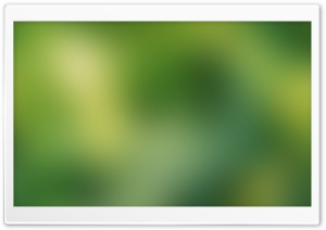 Minimalist Green Background HD Wide Wallpaper for Widescreen