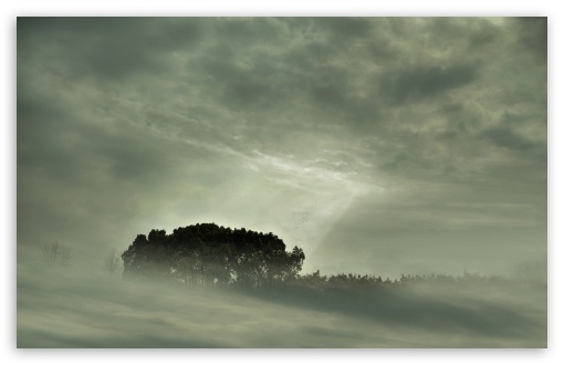 Misty Landscape wallpaper for Wide 16:10 Widescreen WHXGA WQXGA WUXGA WXGA ;