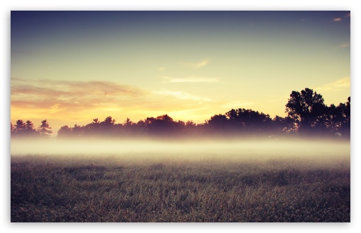 Morning Mist HD wallpaper for Wide 16:10 Widescreen WHXGA WQXGA WUXGA WXGA ;