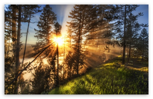Morning Sunbeams HD wallpaper for Wide 16:10 Widescreen WHXGA WQXGA WUXGA WXGA ;