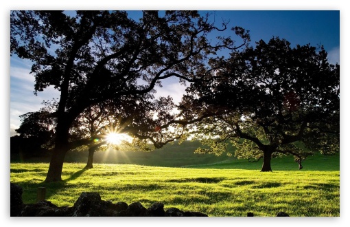 Morning Sunshine HD wallpaper for HD 16:9 High Definition WQHD QWXGA 1080p 900p 720p QHD nHD ;