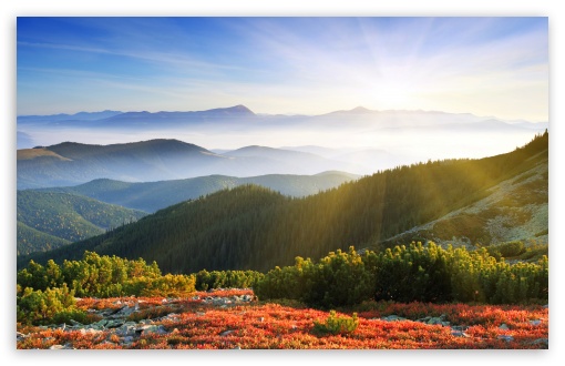 Morning Sunshine With Fog HD wallpaper for Wide 16:10 Widescreen WHXGA WQXGA WUXGA WXGA ;