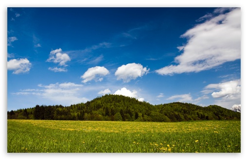 Mountain Meadow wallpaper for Wide 16:10 Widescreen WHXGA WQXGA WUXGA WXGA ;