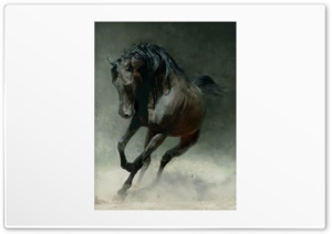 Mustang Horse HD Wide Wallpaper for Widescreen