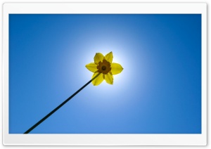 My Magic Wand HD Wide Wallpaper for Widescreen