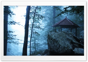 Namak abrood park Iran.MR HD Wide Wallpaper for Widescreen