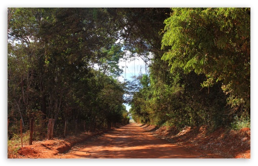 Natural Alley HD wallpaper for Standard 4:3 Fullscreen UXGA XGA SVGA ; Wide 16:10 Widescreen WHXGA WQXGA WUXGA WXGA ; HD 16:9 High Definition WQHD QWXGA 1080p 900p 720p QHD nHD ; Other 3:2 DVGA HVGA HQVGA devices ( Apple PowerBook G4 iPhone 4 3G 3GS iPod Touch ) ; Mobile VGA iPhone iPad - VGA QVGA Smartphone ( PocketPC GPS iPod Zune BlackBerry HTC Samsung LG Nokia Eten Asus ) HVGA Smartphone ( Apple iPhone iPod BlackBerry HTC Samsung Nokia ) ;