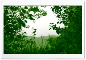 Natural Frame HD Wide Wallpaper for Widescreen