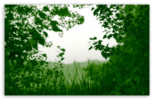 Natural Frame HD wallpaper for Wide 16:10 Widescreen WHXGA WQXGA WUXGA WXGA ;