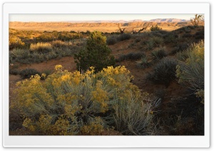 Nature Landscape 16 HD Wide Wallpaper for Widescreen