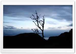 Nature Landscape 35 HD Wide Wallpaper for Widescreen