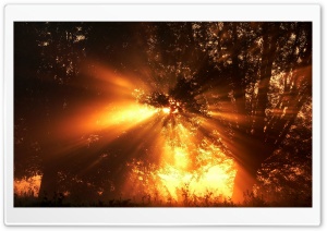 Nature Landscape Sun And Sky 66 HD Wide Wallpaper for Widescreen