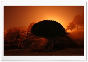 Nature Landscape Sun And Sky 77 HD Wide Wallpaper for Widescreen
