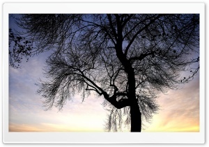 Nature Landscape Sun And Sky 89 HD Wide Wallpaper for Widescreen