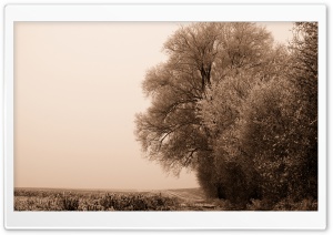 No Snow, But White HD Wide Wallpaper for Widescreen