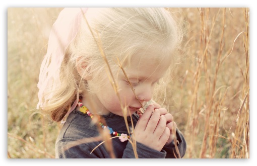 November Happiness wallpaper for Wide 16:10 Widescreen WHXGA WQXGA WUXGA WXGA ;