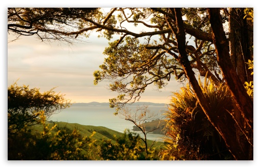 One Fine Evening HD wallpaper for Wide 16:10 Widescreen WHXGA WQXGA WUXGA WXGA ;