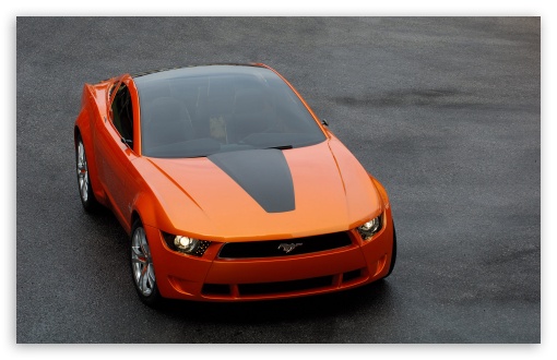 Orange Ford Mustang 3 HD wallpaper for Wide 16:10 5:3 Widescreen WHXGA WQXGA WUXGA WXGA WGA ; HD 16:9 High Definition WQHD QWXGA 1080p 900p 720p QHD nHD ; Mobile WVGA PSP - WVGA WQVGA Smartphone ( HTC Samsung Sony Ericsson LG Vertu MIO ) Sony PSP Zune HD Zen ;