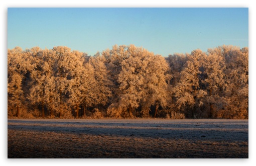 Panoramic View Of Nature HD wallpaper for Standard 4:3 5:4 Fullscreen UXGA XGA SVGA QSXGA SXGA ; Wide 16:10 5:3 Widescreen WHXGA WQXGA WUXGA WXGA WGA ; Tablet Tablet ; HD 16:9 High Definition WQHD QWXGA 1080p 900p 720p QHD nHD ; Other 3:2 DVGA HVGA HQVGA devices ( Apple PowerBook G4 iPhone 4 3G 3GS iPod Touch ) ; Mobile VGA WVGA iPhone iPad PSP Phone - VGA QVGA Smartphone ( PocketPC GPS iPod Zune BlackBerry HTC Samsung LG Nokia Eten Asus ) WVGA WQVGA Smartphone ( HTC Samsung Sony Ericsson LG Vertu MIO ) HVGA Smartphone ( Apple iPhone iPod BlackBerry HTC Samsung Nokia ) Sony PSP Zune HD Zen ; Dual 4:3 5:4 16:10 5:3 16:9 UXGA XGA SVGA QSXGA SXGA WHXGA WQXGA WUXGA WXGA WGA WQHD QWXGA 1080p 900p 720p QHD nHD ;