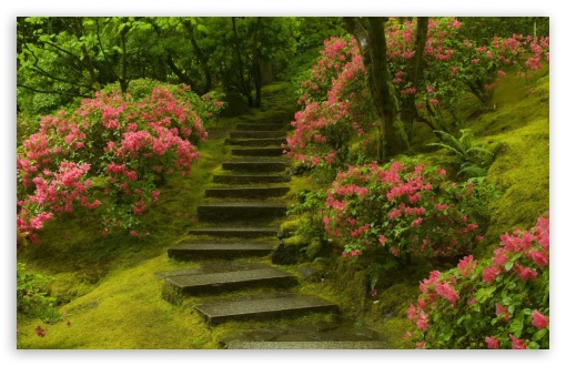 Park HD wallpaper for HD 16:9 High Definition WQHD QWXGA 1080p 900p 720p QHD nHD ;