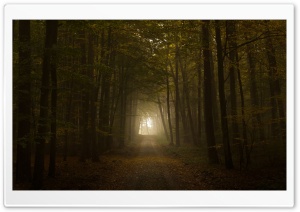 Path HD Wide Wallpaper for Widescreen