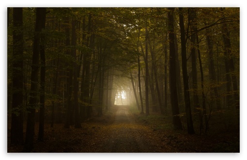 Path HD wallpaper for Wide 16:10 Widescreen WHXGA WQXGA WUXGA WXGA ;