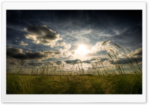 Peaceful Summer Day HD Wide Wallpaper for Widescreen