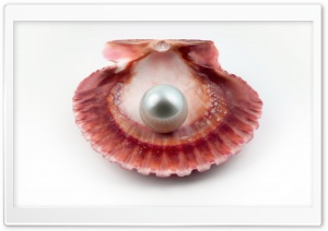 Pearl HD Wide Wallpaper for Widescreen