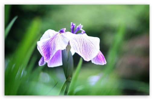 Pick Me Up wallpaper for Wide 16:10 Widescreen WHXGA WQXGA WUXGA WXGA ;