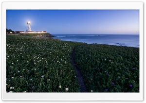 Pigeon Point Lighthouse HD Wide Wallpaper for Widescreen