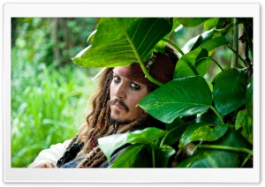 Pirates Of The Caribbean On Stranger Tides, Johnny Depp HD Wide Wallpaper for Widescreen