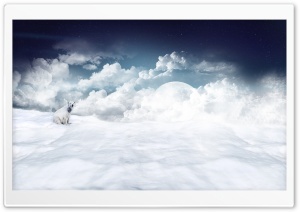Polar Bear HD Wide Wallpaper for Widescreen