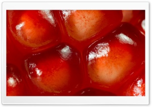 Pomegranate Seeds HD Wide Wallpaper for Widescreen