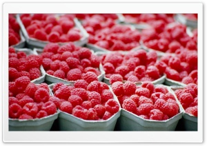 Raspberries - Food wallpaper