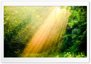Rays Of Light HD Wide Wallpaper for Widescreen