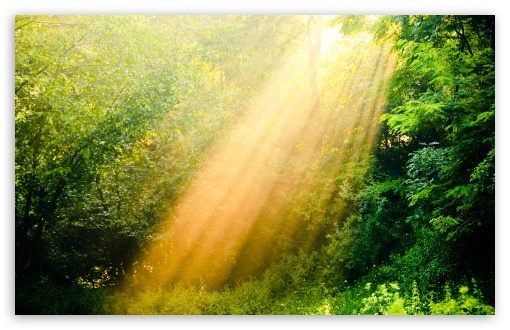 Rays Of Light HD wallpaper for Wide 16:10 Widescreen WHXGA WQXGA WUXGA WXGA ;