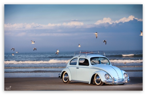 Renfrow's Bug wallpaper for Wide 16:10 5:3 Widescreen WHXGA WQXGA WUXGA WXGA WGA ; HD 16:9 High Definition WQHD QWXGA 1080p 900p 720p QHD nHD ; Other 3:2 DVGA HVGA HQVGA devices ( Apple PowerBook G4 iPhone 4 3G 3GS iPod Touch ) ; Mobile WVGA iPhone PSP - WVGA WQVGA Smartphone ( HTC Samsung Sony Ericsson LG Vertu MIO ) HVGA Smartphone ( Apple iPhone iPod BlackBerry HTC Samsung Nokia ) Sony PSP Zune HD Zen ;