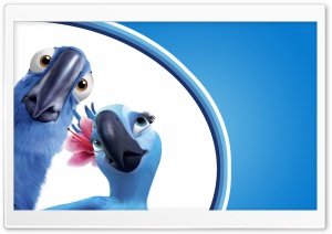 Rio Movie HD Wide Wallpaper for Widescreen