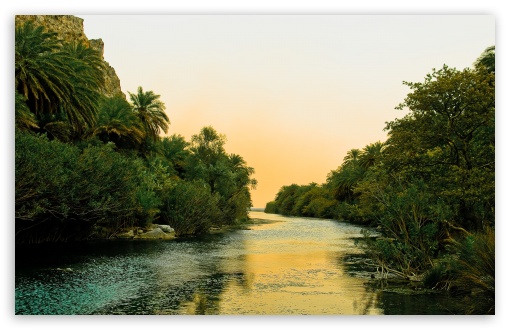 River And Palm Trees HD wallpaper for Wide 16:10 Widescreen WHXGA WQXGA WUXGA WXGA ;