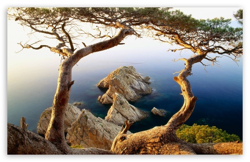 Rocky Coast HD wallpaper for Standard 4:3 5:4 Fullscreen UXGA XGA SVGA QSXGA SXGA ; Wide 16:10 5:3 Widescreen WHXGA WQXGA WUXGA WXGA WGA ; HD 16:9 High Definition WQHD QWXGA 1080p 900p 720p QHD nHD ; Mobile VGA WVGA iPhone iPad PSP Phone - VGA QVGA Smartphone ( PocketPC GPS iPod Zune BlackBerry HTC Samsung LG Nokia Eten Asus ) WVGA WQVGA Smartphone ( HTC Samsung Sony Ericsson LG Vertu MIO ) HVGA Smartphone ( Apple iPhone iPod BlackBerry HTC Samsung Nokia ) Sony PSP Zune HD Zen ;